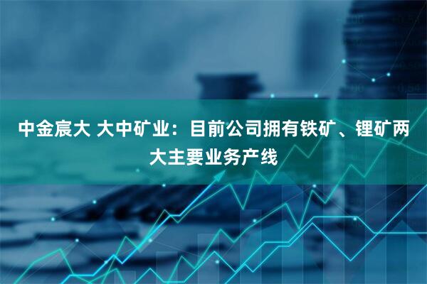 中金宸大 大中矿业：目前公司拥有铁矿、锂矿两大主要业务产线
