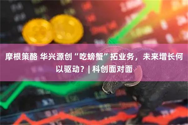 摩根策酪 华兴源创“吃螃蟹”拓业务，未来增长何以驱动？| 科创面对面